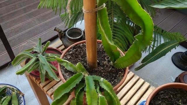 Строительный Поиск