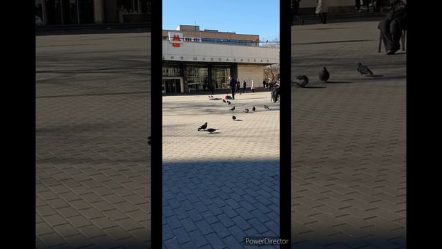 Музыка уличная 2021 Москва/Street Music 2021 Moscow