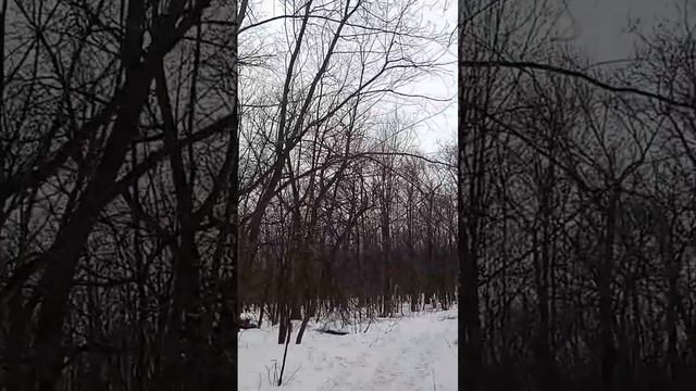 Спасение твоей Души зависит от твоего выбора, не тяни время мало осталось. смотреть онлайн
