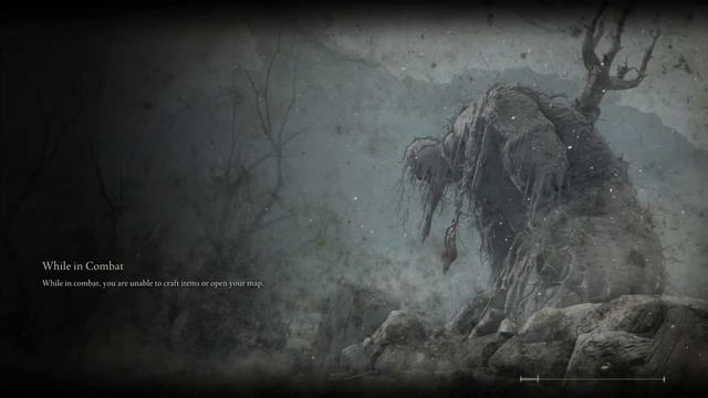 Running Into A Hacker In Elden Ring смотреть онлайн