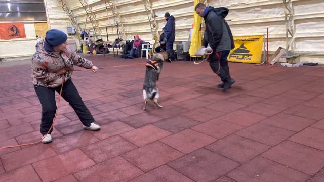 Экселигмос Эра смотреть онлайн