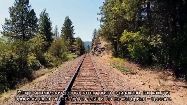 Бензин, сырая земля, хлорка: почему нам нравятся «странные» запахи смотреть онлайн