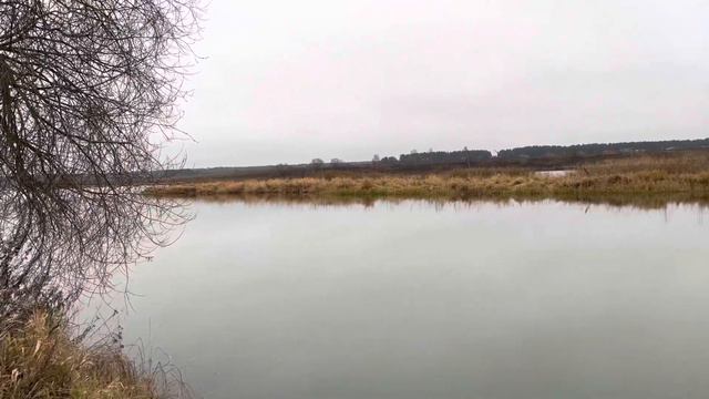 В поисках первого снега в лесу. Ноябрьские велопокатушки до впадения реки Тьма в Волгу смотреть онлайн