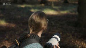 Review | Canon RF 200-800mm f6.3-9 USM Lens