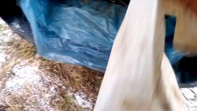 Металло коп. Находки есть. Цена растет. #чермет#металлокоп#аккамулятор смотреть онлайн