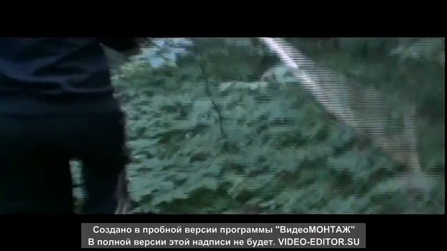 заблудились в лесу смотреть онлайн