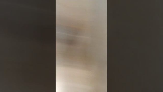 гайд как сломать ногу чееееек, не повторяйте этого дома!!! смотреть онлайн