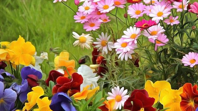 Мать нашла у школьницы рюкзак набитый деньгами.Узнав откуда они и для чего,потеряла дар речи смотреть онлайн