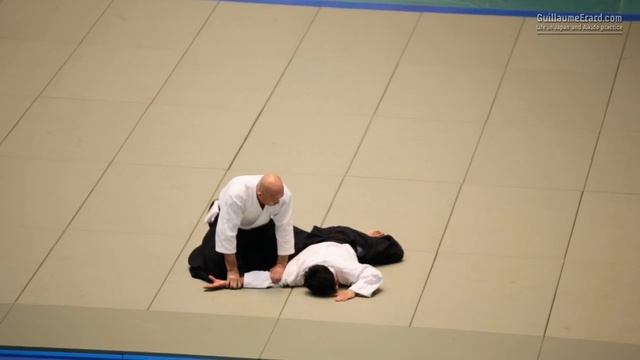 54-я Всеяпонская демонстрация айкидо (2016). Таканори Курибаяси