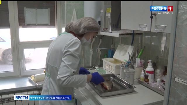 Россельхознадзор проверил прудовые хозяйства Астраханской области.mp4 смотреть онлайн