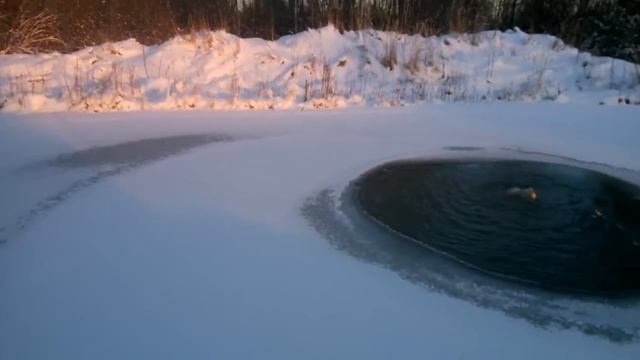 Пруд с карпом зимой смотреть онлайн