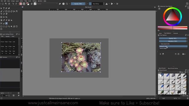 Krita 5 Tutorial: Reference Images Tool смотреть онлайн