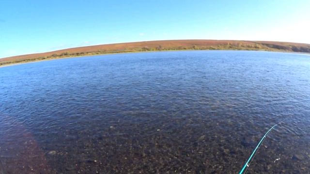 сплав по Реке Уса. смотреть онлайн