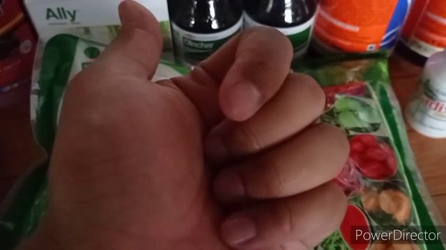 Nutrisi Tanaman Kerdil, Daun Tanaman Menguning, dan Tanaman Sulit Berkembang смотреть онлайн