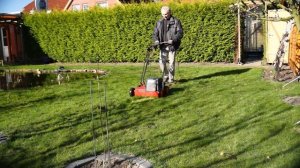 Как и чем очистить газон от мха