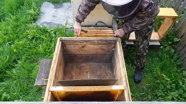 !!!!!ПАСЕКА С НУЛЯ - из диких пчёл!!!! Все Секреты Пчеловодства!!!!