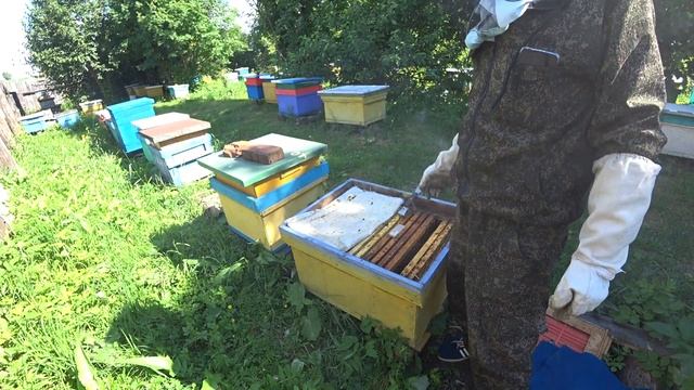 КАК ПОДСАДИТЬ ПЛОДНУЮ МАТКУ В ОСНОВНУЮ СЕМЬЮ, МЕТОД ПРИБЛИЖЕН К 100% от А до Я. смотреть онлайн