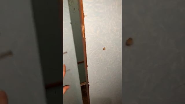 Распашной лифт «ЭМИЗ» смотреть онлайн
