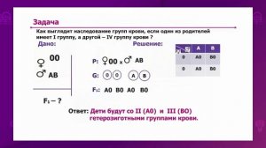 Биология. 9 класс. Закономерности наследования групп крови у человека Резус-фактор /26.02.2021/