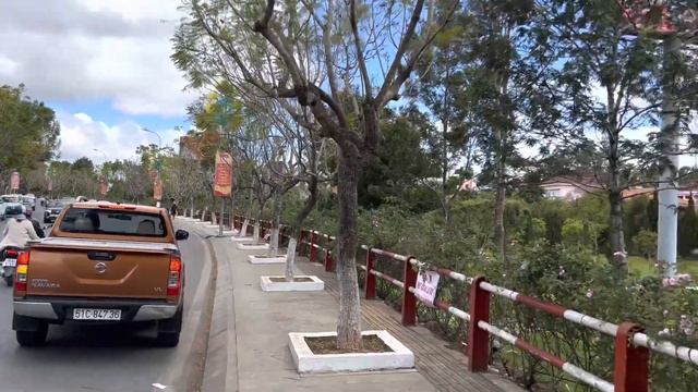 «… Целое море цветов…» Dalat’s flowers on the TET. Hoa Đà Lạt ngày TẾT. смотреть онлайн