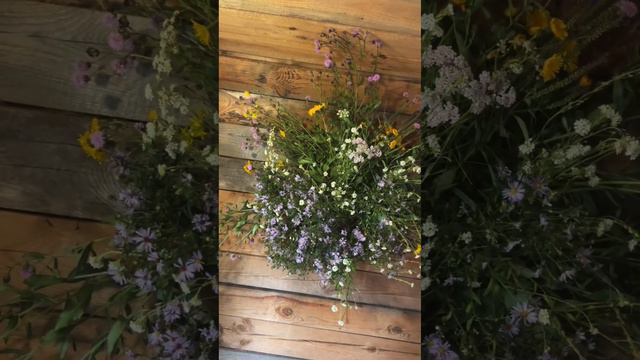 Полевые цветы