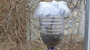 Кормушка для синиц с колпаком-преградой для других