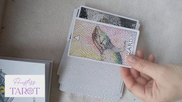 Wild Unknown Animal Spirit Oracle unboxing смотреть онлайн