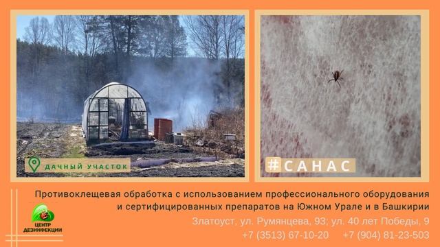САНАС | Обработка от клещей дачных участков на территории Златоустовского городского округа смотреть онлайн