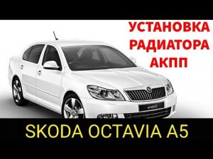 Установка радиатора охлаждения коробки автомат, на skoda octavia + снятие всех радиаторов для чистки