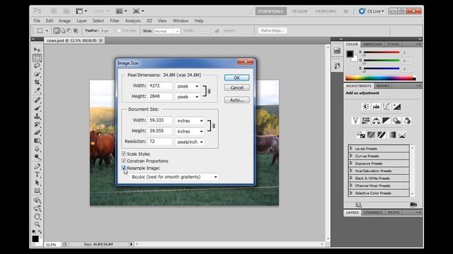 Resize a Photograph for Print and Save it as a TIFF - Photoshop CS5 смотреть онлайн