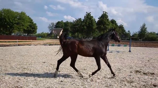 Красавчик 2 смотреть онлайн