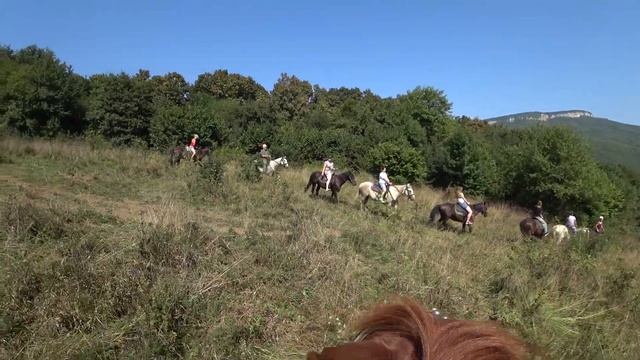 Адыгея конные прогулки смотреть онлайн