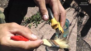 Как убрать ржавчину с помощью лимонной кислоты