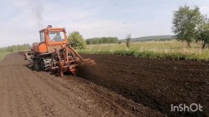ДТ-75Н турбированный с болотной фрезой, участок под картошку