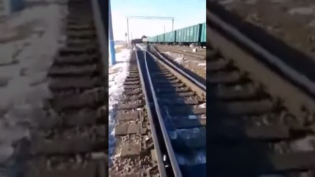 Ст.Арга(переезд) Белогорск-Шимановская(2) смотреть онлайн