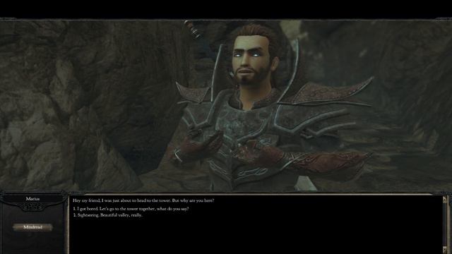 Divinity 2 Impressions смотреть онлайн
