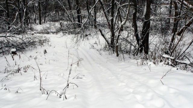 Спокойствие декабря смотреть онлайн