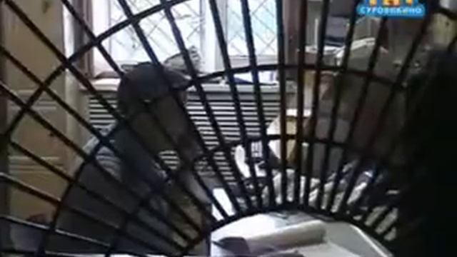 В местном отделе полиции смотреть онлайн