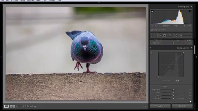 How to use Tone Curve tool in Adobe Photoshop Lightroom | Arunz Creation смотреть онлайн