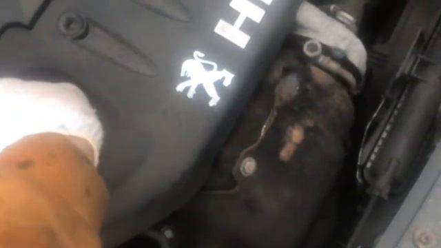 Разборка Peugeot - 207 1.4 Инжектор (VIN: VF3WC8HZC33692814) T18531 смотреть онлайн