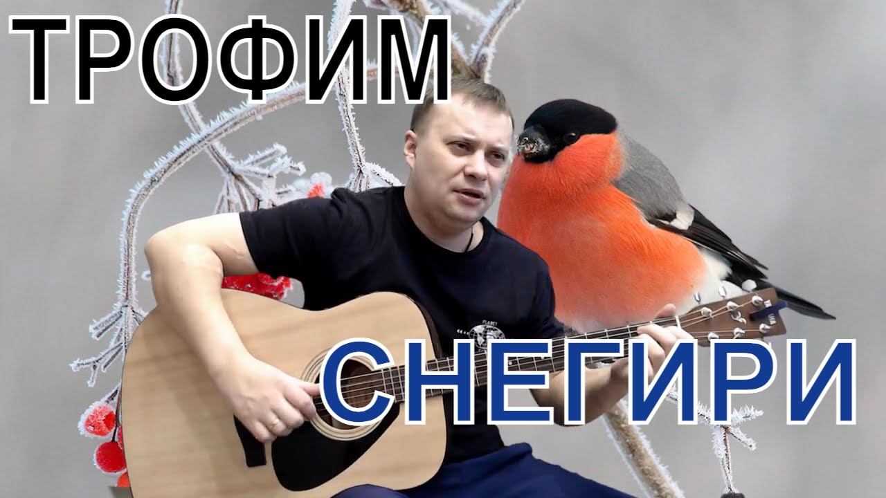 Снегири /Трофим /под гитару смотреть онлайн