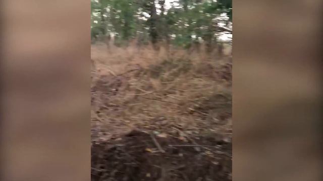 МИ - ХЕРСОН смотреть онлайн