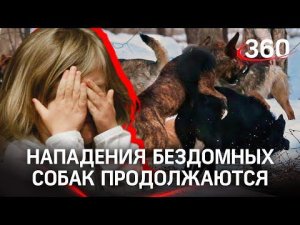 Напали на мальчика: бездомные собаки продолжают колечить детей