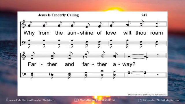 I Never Knew You. 06-20-21am. Matthew 7. Palm Harbor church of Christ-LIVE смотреть онлайн