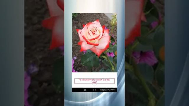 Функция фейсбука Холст смотреть онлайн