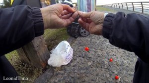 Аргентинская рыба ПЕХЕРЕЙ (PEJERREY)