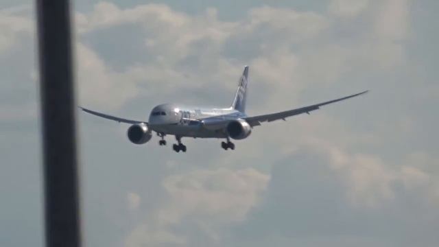 Beautiful ANA All Nippon Airways Boeing 787-8 Landing at Brussels Airport (BRU) смотреть онлайн