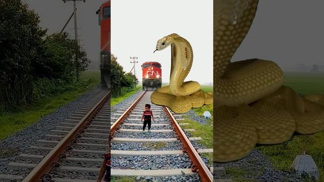 anaconda snake in real life P 124 #short video #nagin #python #bigsnake #snakevideo #anaconda смотреть онлайн