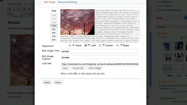 Adding a Link to Text and Images in WordPress Posts смотреть онлайн