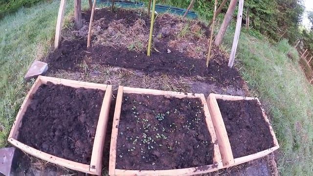 07. Дачный дневник. Утренная проверка смотреть онлайн